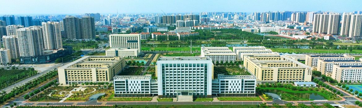 91精品国产91久久久久久不卡